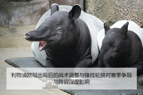 利物浦欧冠出局后的战术调整与锋线轮换对赛季争冠与阵容深度影响